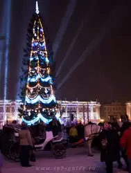 Новогодняя елка на Дворцовой площади