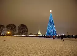 Новогодняя ёлка на стрелке Васильевского острова