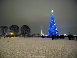 Санкт-Петербург, Новогодняя ёлка на стрелке Васильевского острова