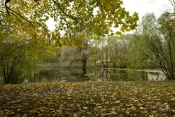 Кухонный пруд в Александровском парке