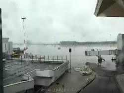 Аэропорт Пулково, перрон в пасмурную погоду