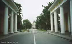 Смольный, Санкт-Петербург