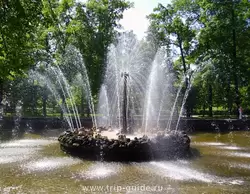 Петергоф, фонтан «Солнце»