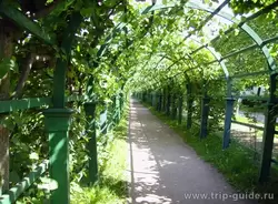 Зелёная арка в Верхнем парке