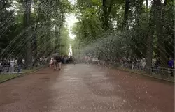 Фонтан-шутиха Водяная дорога в Петергофе