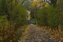 Золотая осень в Екатерининском парке, фото 58