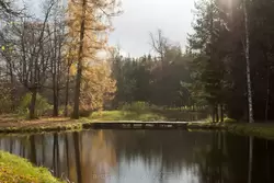 Золотая осень в Екатерининском парке, фото 73