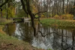 Золотая осень в Екатерининском парке, фото 42