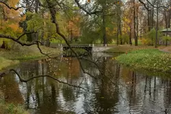 Золотая осень в Екатерининском парке, фото 43