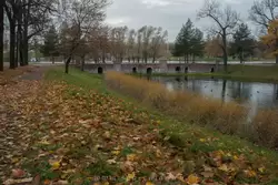 Золотая осень в Екатерининском парке, фото 83
