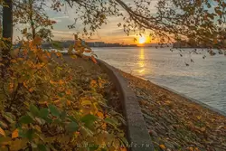 Золотая осень на Елагином острове, фото 1
