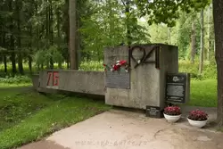 Памятник героям 76-го и 77-го истребительных батальонов в Царском Селе