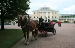 Катание на карете в Павловске