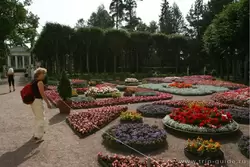 Коллекции цветов в Собственном садике