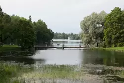 Гатчинский парк, озеро Белое