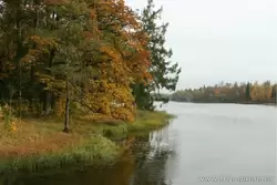 Гатчинский парк, золотая осень на озере Белое