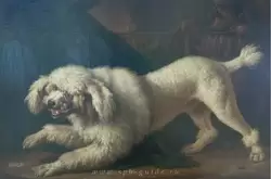 Мустафа — любимая собака графини С.В. Строгановой на экране для камина в Картинной галерее