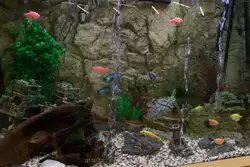 Речной аквариум в холле музея «Петровская Акватория»