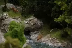 Амурские тигры на Гранд макете