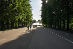 Приморский парк Победы в Санкт-Петербурге
