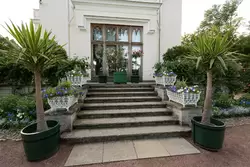 Фермерский дворец в Петергофе, лестница с пальмами и цветами