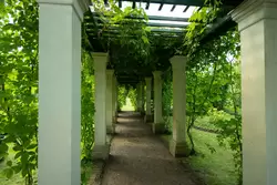 Пергола, Собственный сад, Фермерский дворец
