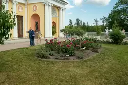 Висячий сад, Царское Село