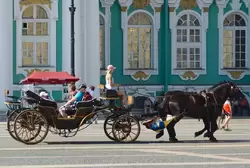 Катание на лошадях на Дворцовой площади