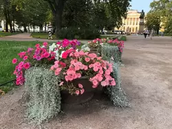 Площадь искусств и памятник Пушкину