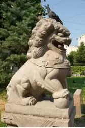 Львы в саду Дружбы