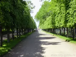Петергоф, Нижний парк