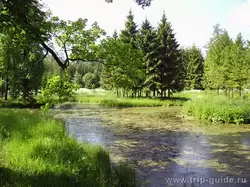 Лебединые пруды в Царском селе