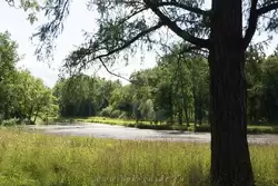 Верхне-Ламский пруд в Александровском парке