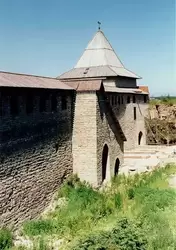 Петрокрепость, Государева башня, вид из крепости