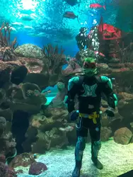 Водолаз развлекает посетителей в главном аквариуме