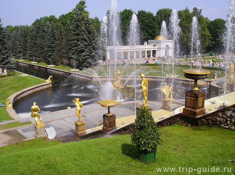 Сценарий открытия фонтана в городском парке.