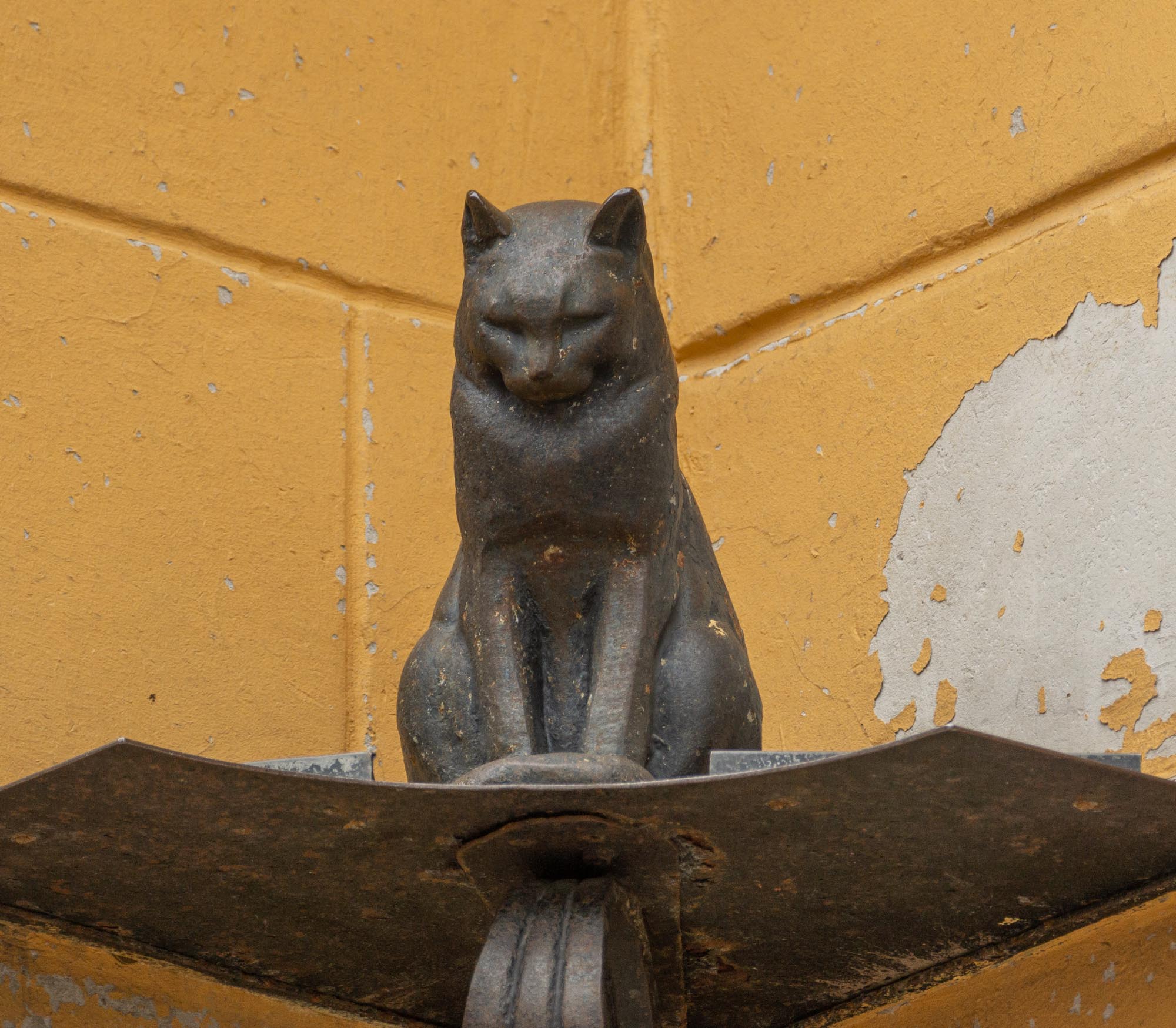 Кот елисей в санкт петербурге фото