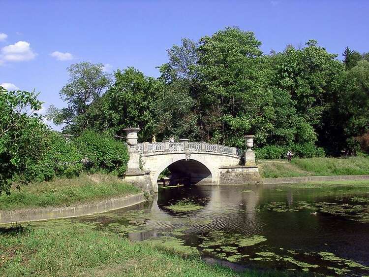 Павловск висконтиев мост фото