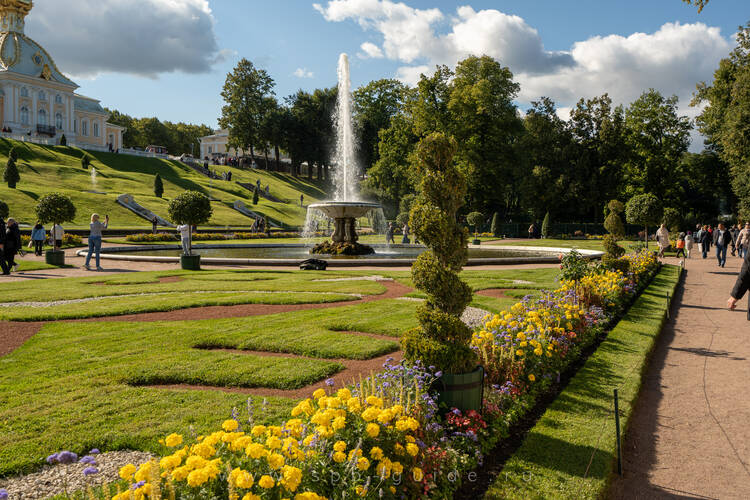 Фонтан дерево в петергофе фото