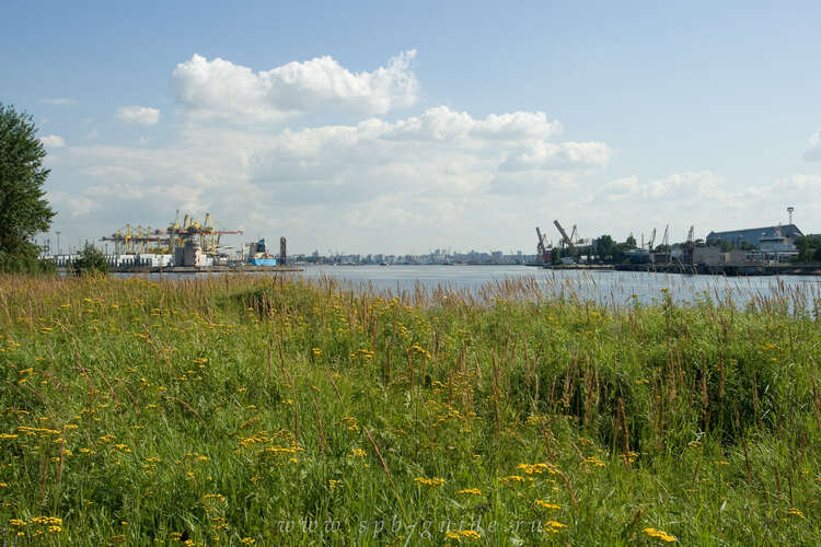 Канонерский остров фотографии